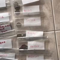 collezione Monete nel mondo