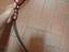 Immagine 5