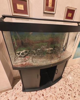 Acquario con mobile 250 litri