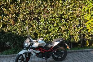 Benelli BN 125 - 2019
