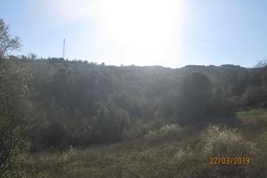 Podere le mandriacce
