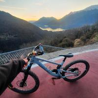 santa cruz bronson 