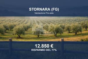 Immobile in asta di 18536 m² a Stornara