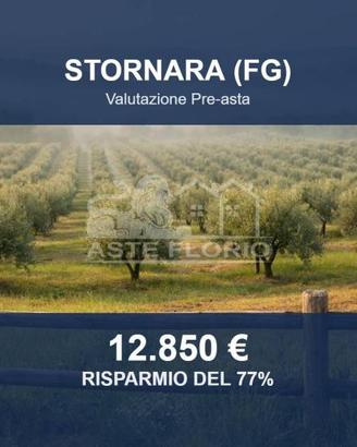 Immobile in asta di 18536 m² a Stornara
