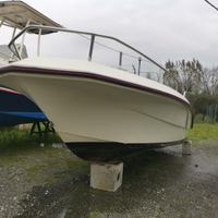 Barca helan 495