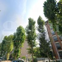 Box/Posto auto Rozzano [C.C-CAMPANIAVRG]