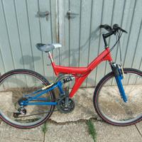  MTB RESTAURATA