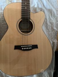 Chitarra acustica godin