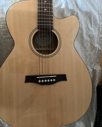 Chitarra acustica godin
