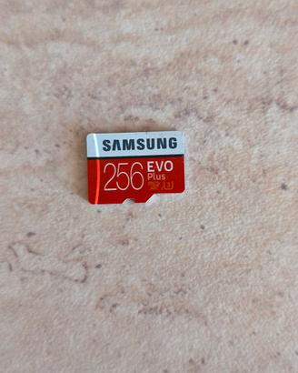 micro SD XC Samsung 256 GB