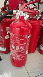 2 ESTINTORI NUOVI 6 KG POLVERE ABC 