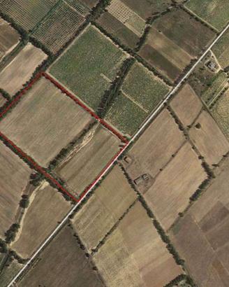 castiadas ampio lotto agricolo seminativo