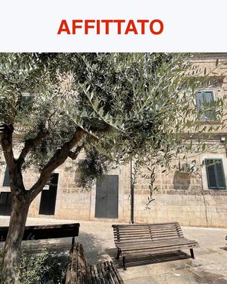 Splendido locale uso ufficio - Triggiano