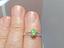 Immagine 6