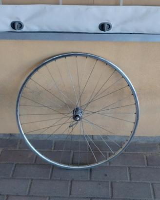 ruota bdc 