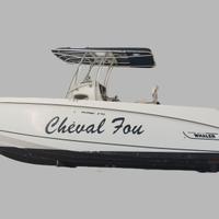 Boston Whaler Outrage 27
