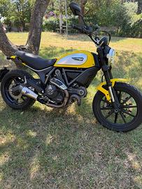 Ducati Scrambler 800