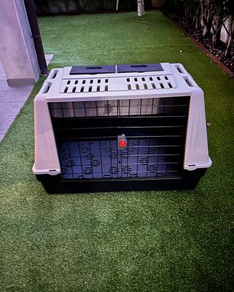 Trasportino da cani per auto