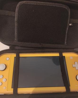 Nintendo switch light