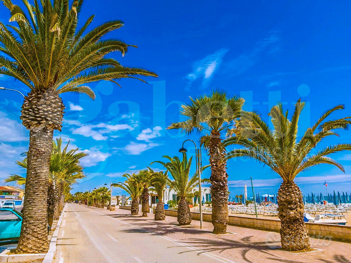 Appartamento – Tortoreto - Vista 5