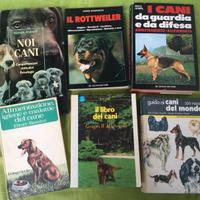 LOTTO 6 LIBRI SU ALLEVAMENTO ADDESTRAMENTO E RAZZE