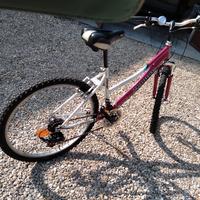 bicicletta