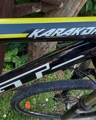 Mountain Bike Karakoram