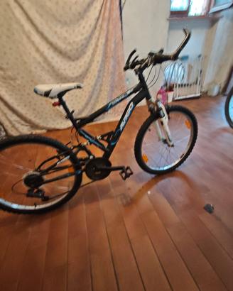 Mtb 24 