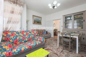 AMPIO 5 LOCALI CON TERRAZZO ABITABILE