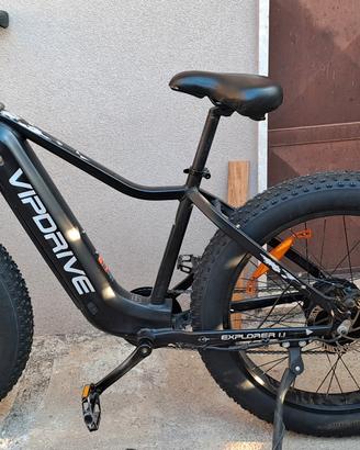 bicicletta elettrica