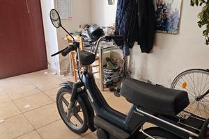 Paggio SI 