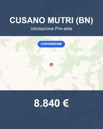 Immobile in asta di 10630 m² a Cusano Mutri