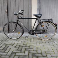 Bici adriatica freni a bacchetta