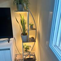 Espositore piante con luci