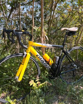 GIANT OCR (Bici da corsa)