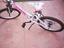 Immagine 1