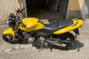 Honda Hornet 600 (2001)Giallo -Tutta Originale