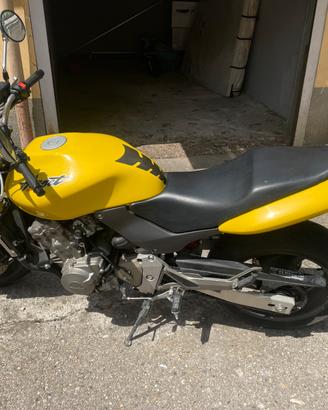 Honda Hornet 600 (2001)Giallo -Tutta Originale