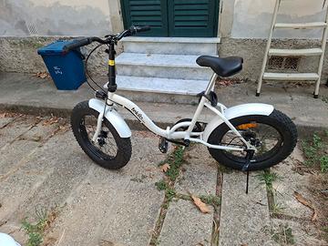 Fat bike pieghevole - no elettrica 