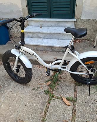 Fat bike pieghevole - no elettrica 