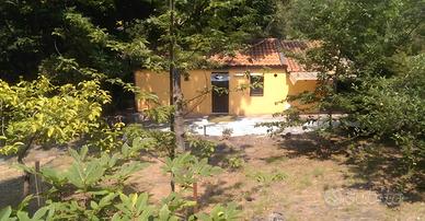 Casetta nel bosco con terreno