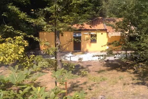 Casetta nel bosco con terreno