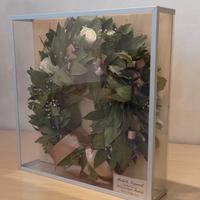 Teca in Plexiglass
