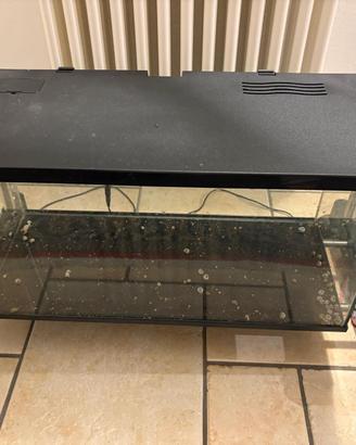 Acquario Sirius 51 (60x21x26 cm) con coperchio