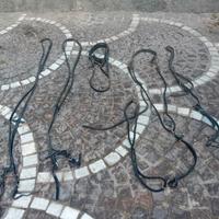 attrezzature per cavalli