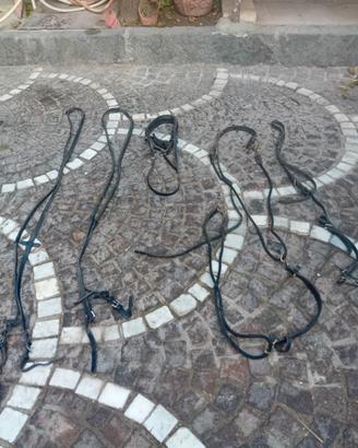 attrezzature per cavalli