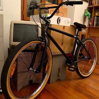 BMX Wethepeople Carhartt Journey 26