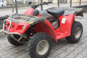 Quad usato Can-an Rally 2x4