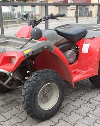 Quad usato Can-an Rally 2x4