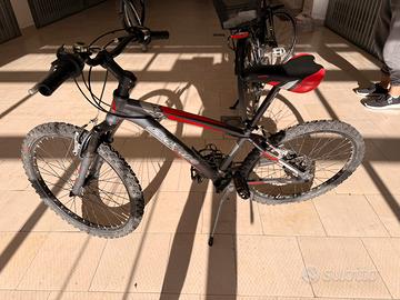 Mountain bike